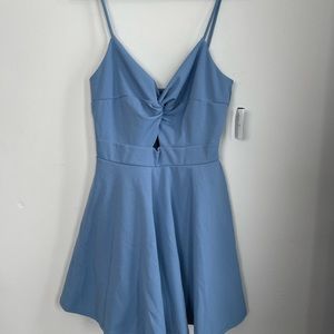 NWT Windsor Light Blue Dress